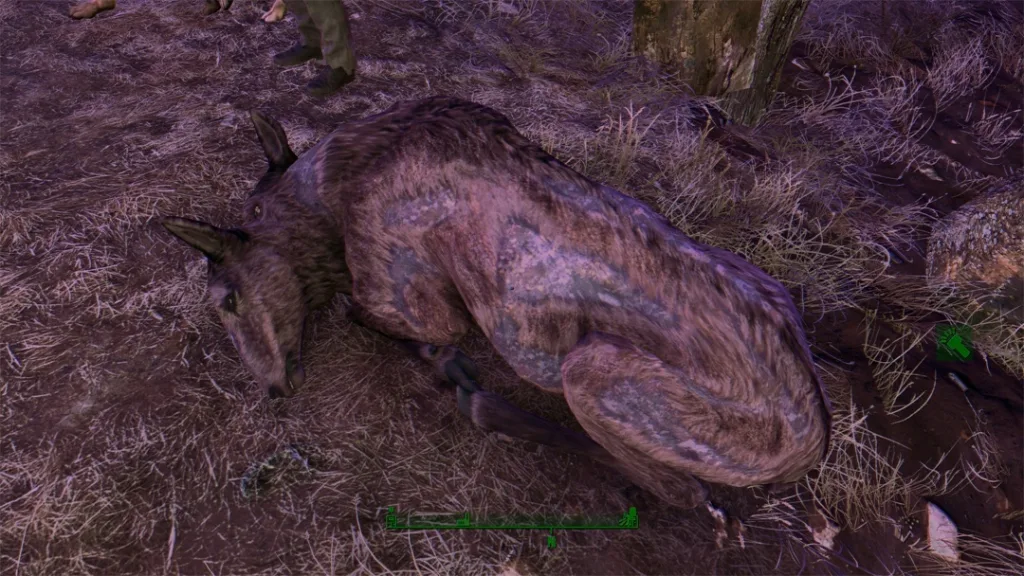Docile Ragstags