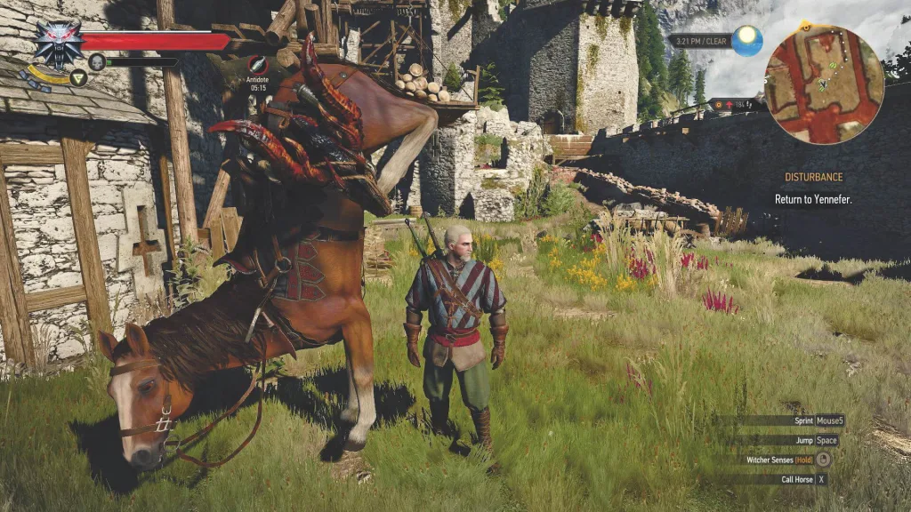 Плотва – The Witcher