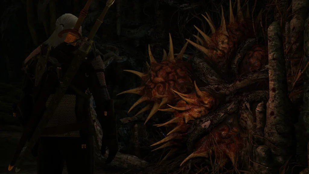 Призрак в дереве (The Witcher 3: Wild Hunt)