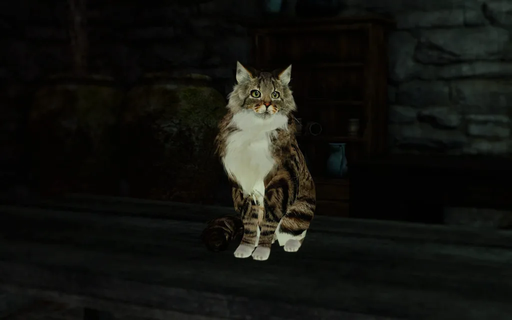 Kitty HD