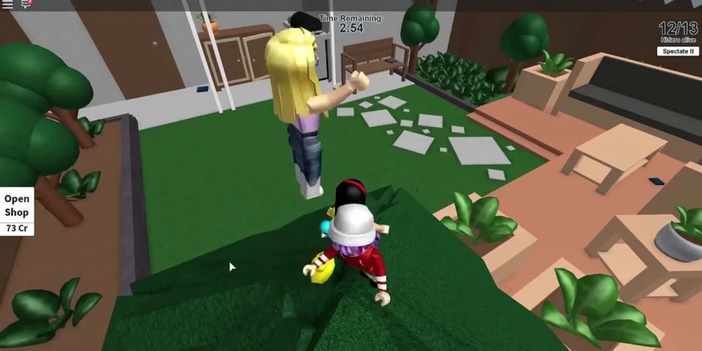 Hide and Seek Extreme