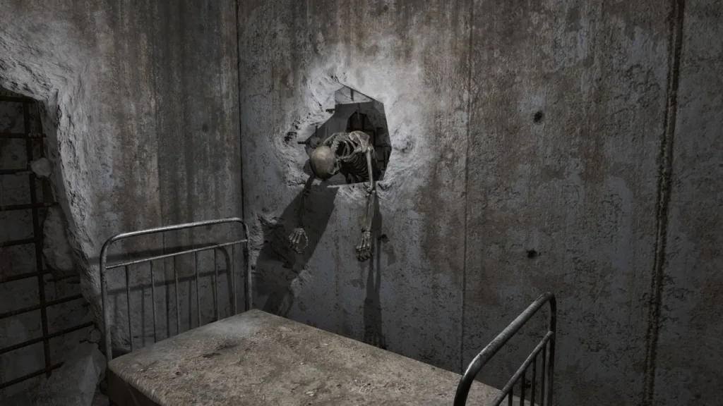 Психиатрическая больница «Парсонс»/Parsons State Insane Asylum