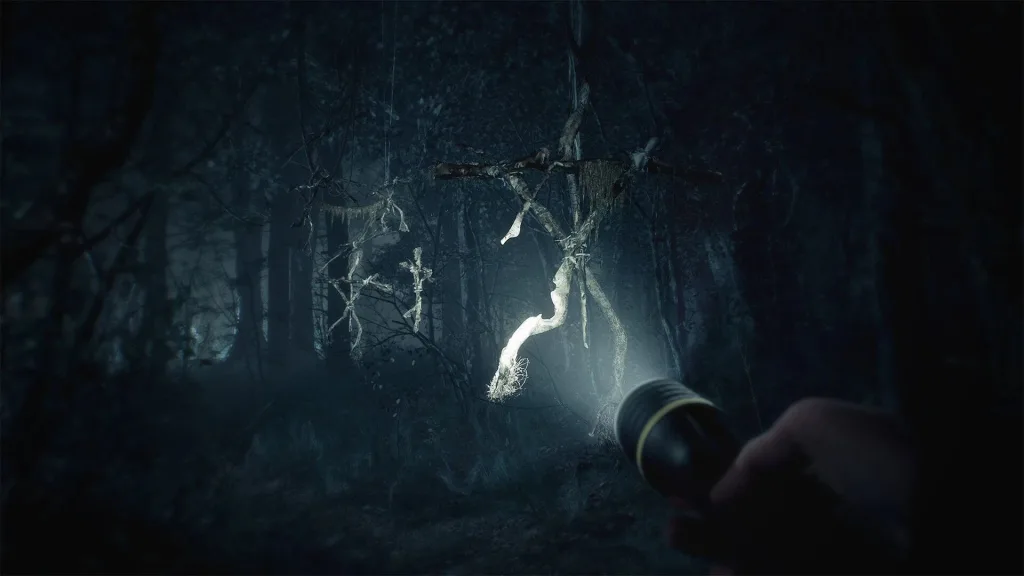 Лес Блэк-Хиллз – Blair Witch
