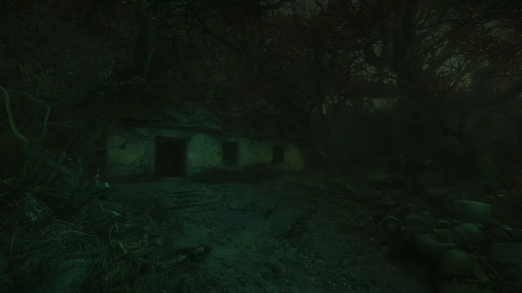 The Cursed Forest