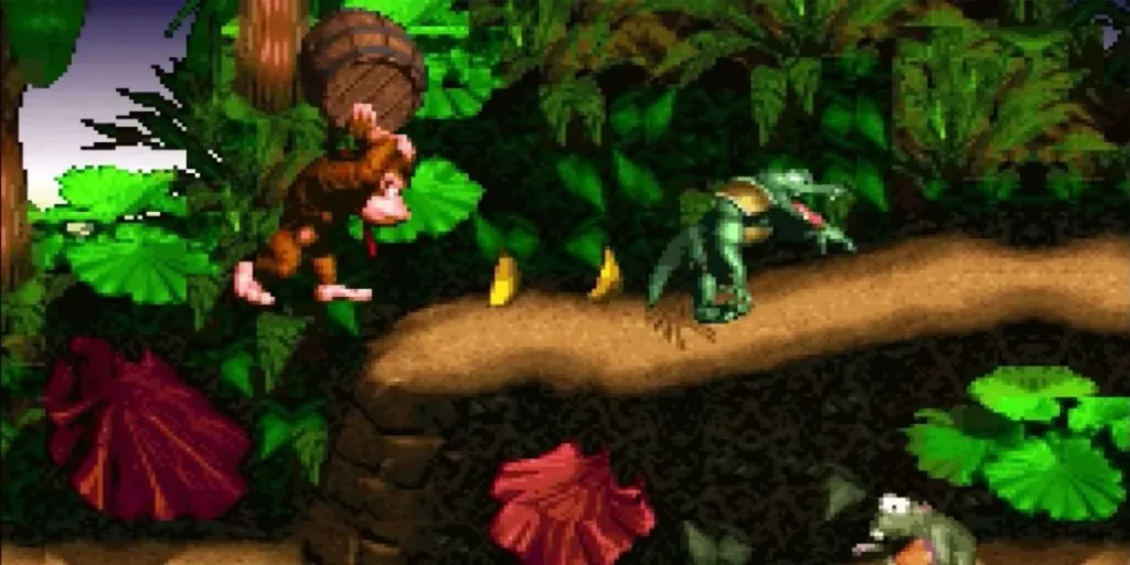 Donkey Kong Country