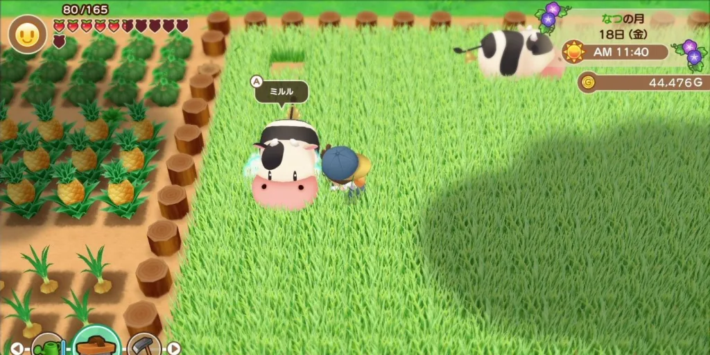 Story of Seasons: Friends of Mineral Town
