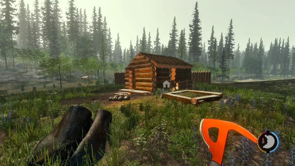 The Forest
