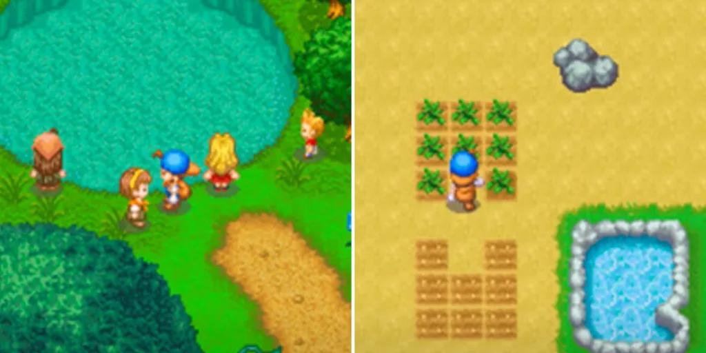 Harvest Moon DS