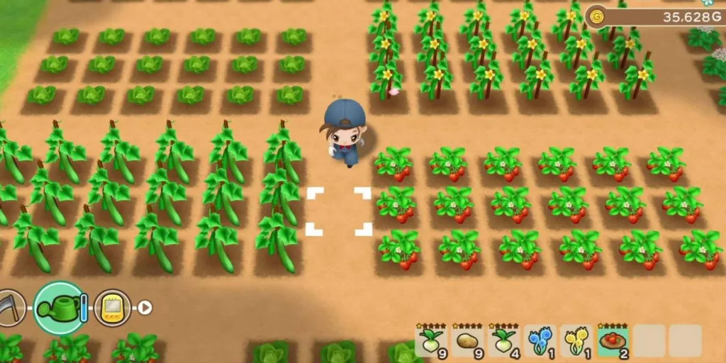 Story of Seasons: Friends Of Mineral Town