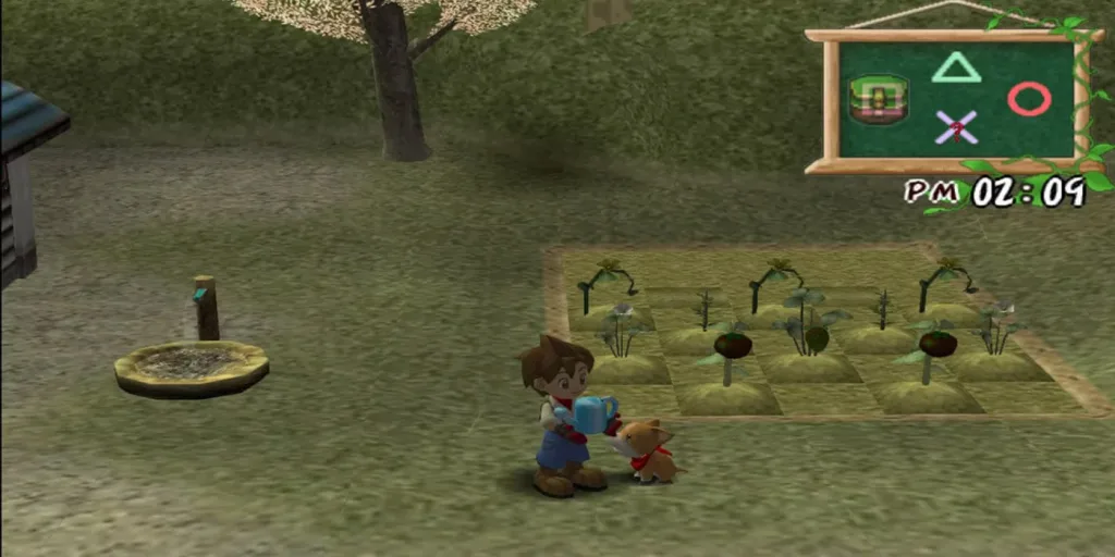 Harvest Moon: A Wonderful Life