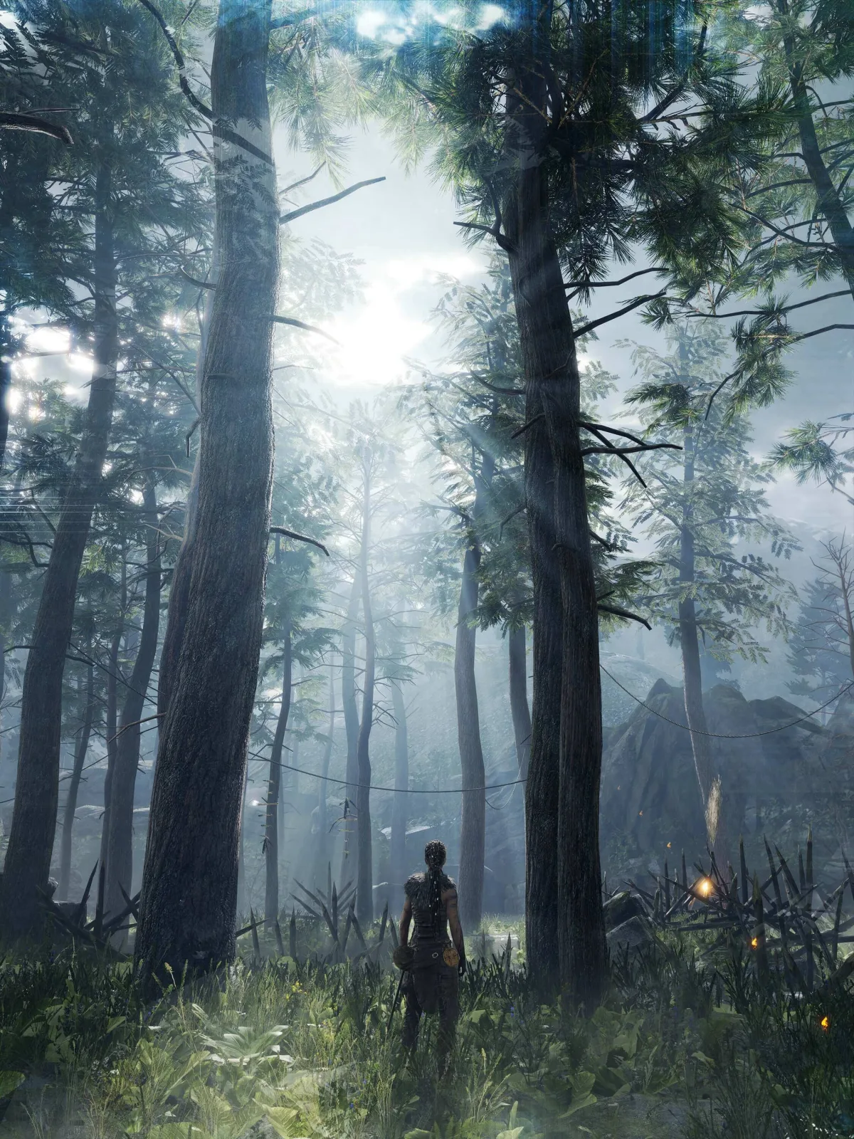 Hellblade: Senua's Sacrifice
