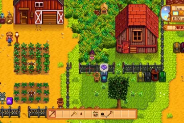 Community Farm – это карта для Stardew Valley, состоящая из 24.000 тайлов, и, рассчитанная на 10 человек