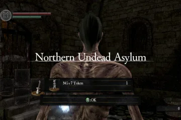 New game plus в Dark Souls вместе с бесконечным модом может быть наиболее изнурительной