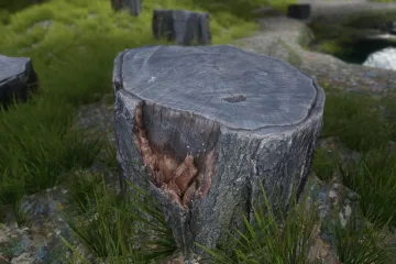 Благодаря 4K/2K текстурному моду для Skyrim в игре появляется фотограмметрия