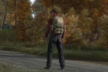 DayZ Standalone и его релиз