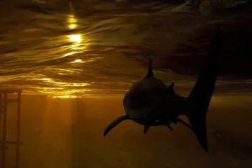10 самых интересных, и мало известных (инди) игр 2019 года