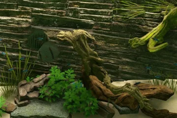 Biotope - симулятор аквариума скоро появится в Steam