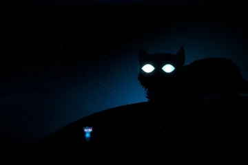 Ушёл из жизни создатель Night in the Woods