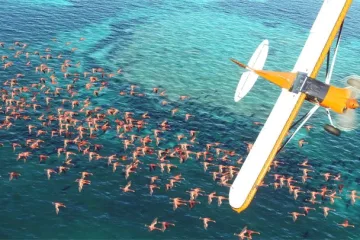 Microsoft Flight Simulator - красивый трейлер с X019