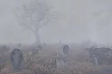 Whispering Hills превращает Fallout 4 в жуткий хоррор