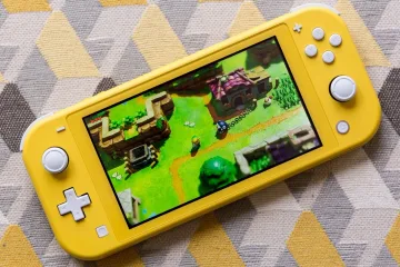 В 2019 году 79% японского консольного рынка принадлежало Nintendo