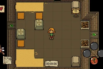 Играли ли вы в... Ittle Dew?