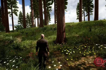 Прекращена разработка MMORPG - Chronicles of Elyria