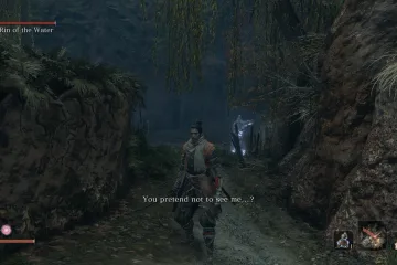 В Sekiro: Shadows Die Twice появился мод-рандомизатор врагов и предметов