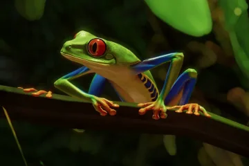 Вышедший DLC Южная Америка для Planet Zoo включает в себя целых пять новых животных