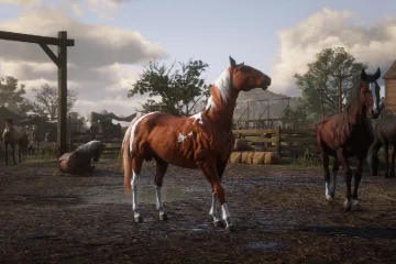 Последнее обновление Red Dead Online "сломало лошадей"