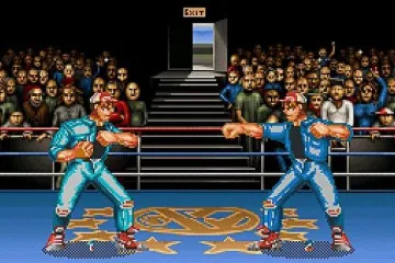 Играли ли вы в… Body Blows?