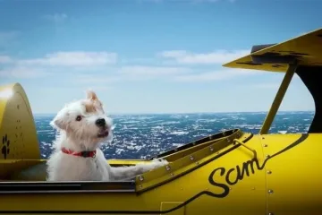 Создатели Flight Simulator похвастались впечатляющими результатами