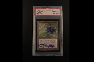 Черный Лотос Magic: The Gathering продан за 500 тысяч долларов