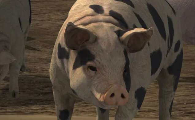Ознакомительный трэйлер Farming Simulator 19