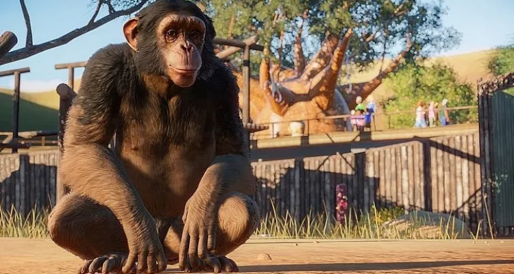 Первый игровой процесс из игры Planet Zoo