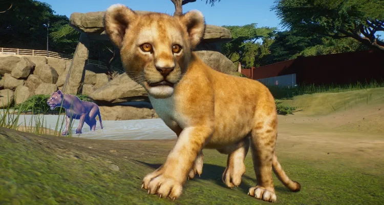Planet Zoo выходит на ПК