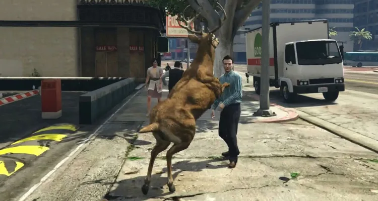 Расположение всех кактусов лофофора в GTA Online