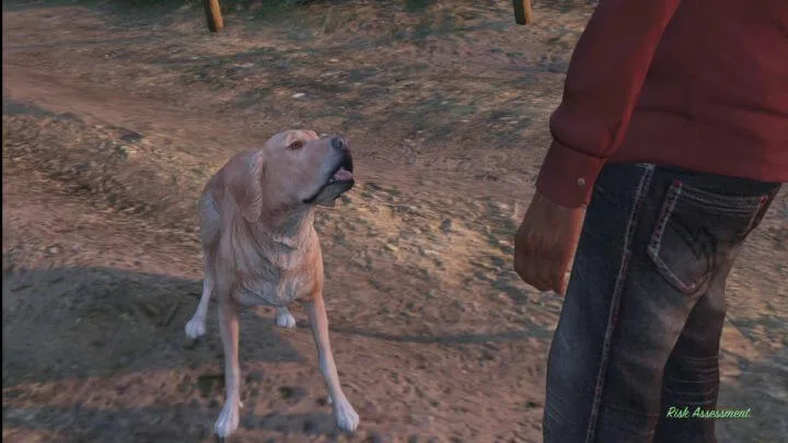 Оценка риска (GTA 5)