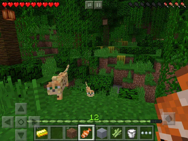 Кто был первый игроком. опробовавшим Minecraft?