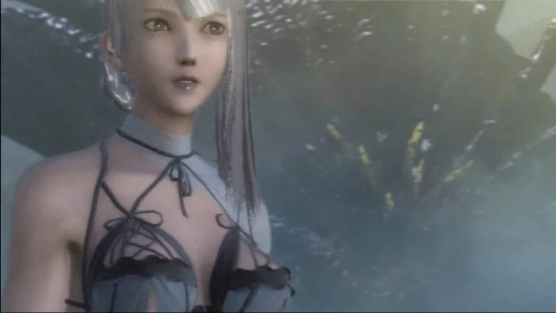 NieR Gestalt и NieR RepliCant
