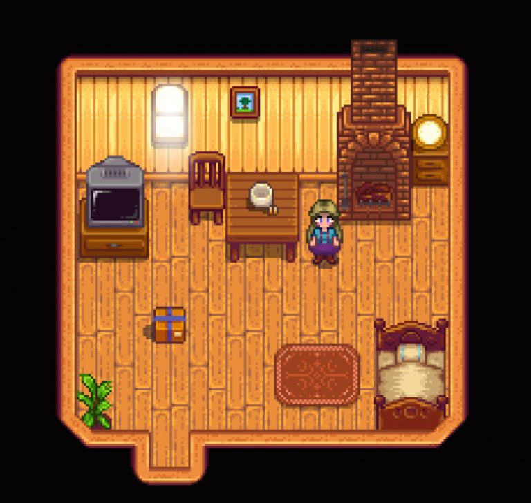 Stardew valley где купить одежду