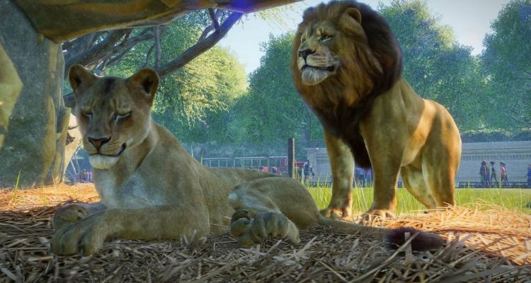 Вольеры в Planet Zoo: чистота, барьеры и благополучие животных