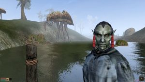 Топ моды для morrowind