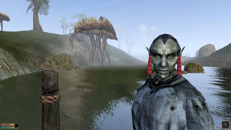 Morrowind как повысить привлекательность