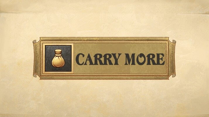 Carry More