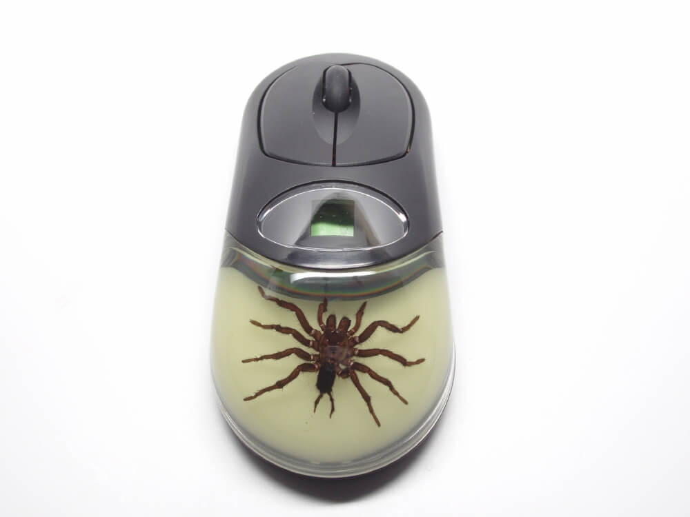Мышка с подсветкой и фигуркой тарантула