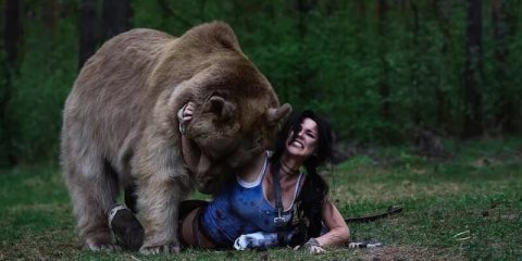 Косплей Lara Croft с гигантским медведем