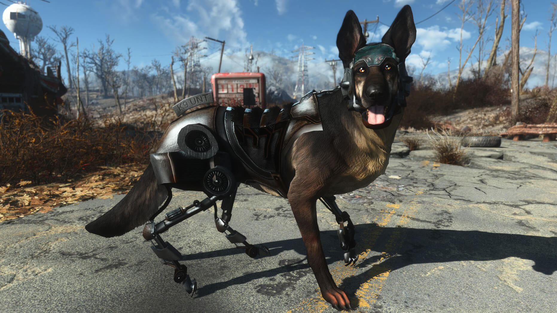как в fallout 4 как одеть собаку в fallout 4 фото 33