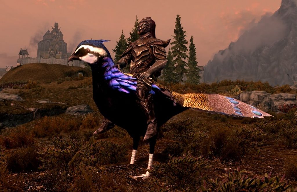 Мод для Skyrim, добавляющий в игру возможность оседлать гигантских уток и куриц