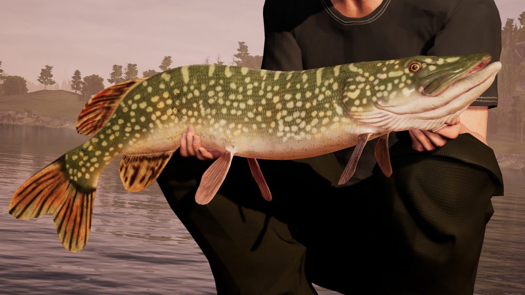 Самый реальный симулятор рыбалки Fishing Sim World